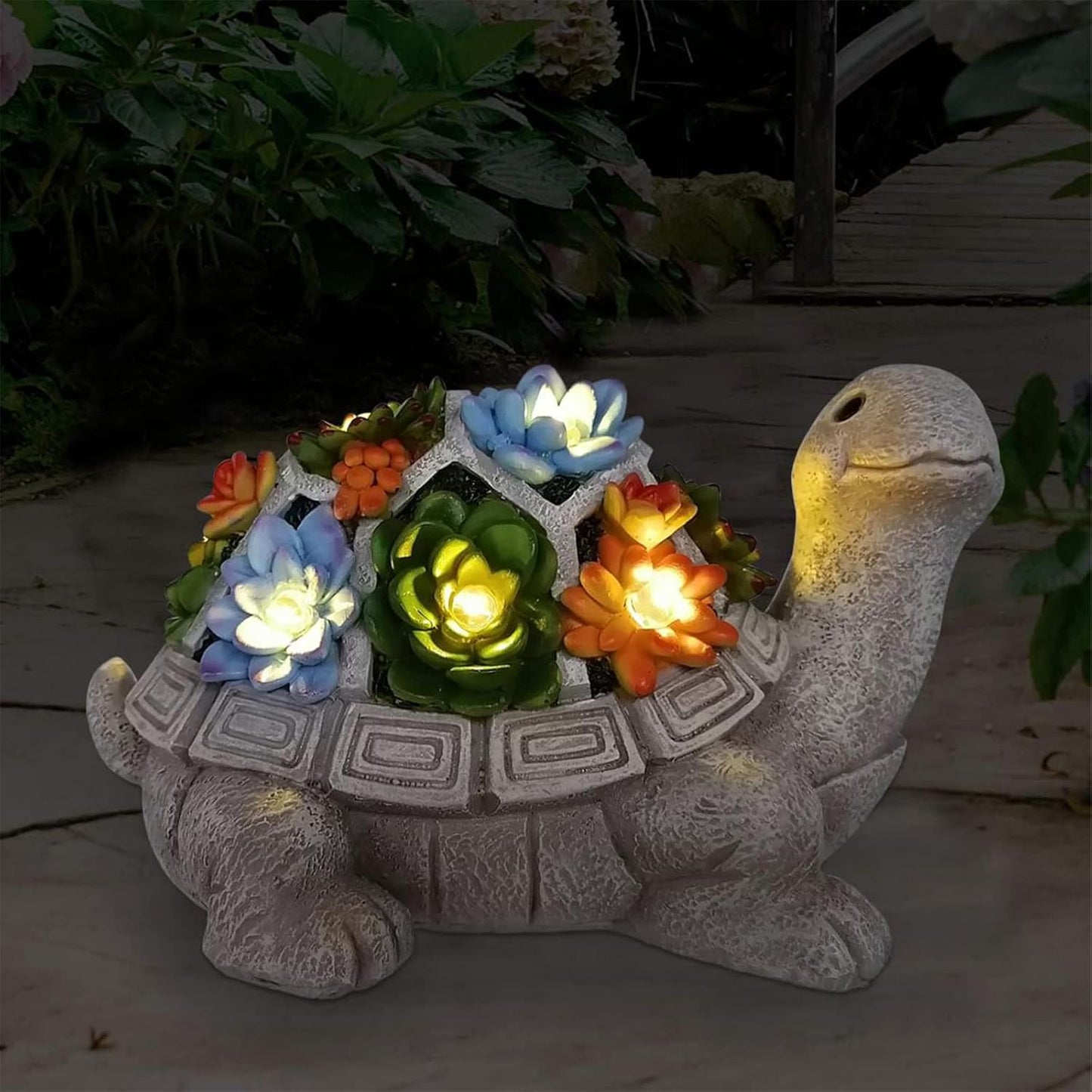 Statues Turtle with Succulent