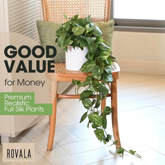 MY ROVALA Artificial Plants
