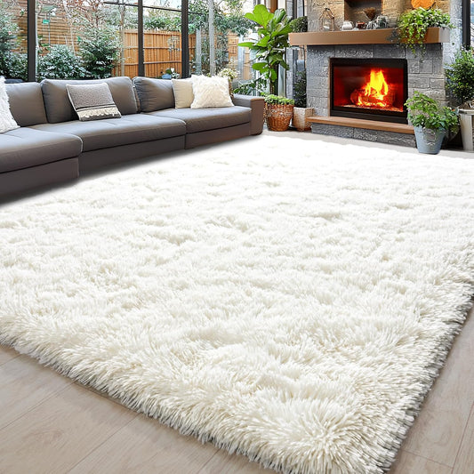 Rugs for Living Room